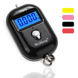 Electronic Portable Scale
