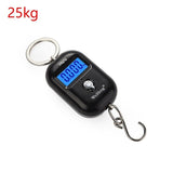 Electronic Portable Scale