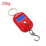 Electronic Portable Scale