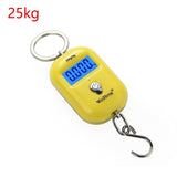 Electronic Portable Scale
