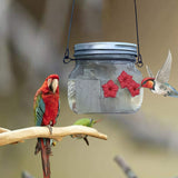 Portable Bird Water Feeder